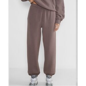 Aritzia Brown Jogger Pants